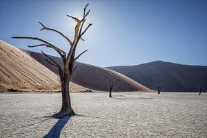 Les réveils de Deadvlei sur Peter Vruggink