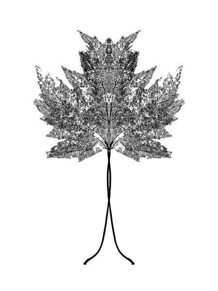Symmetrisch plantenblad van Cor Ritmeester