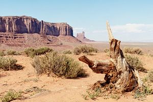 American West - Monument Valley IV