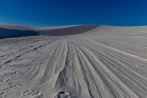 Traces to the Horizon