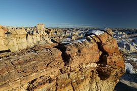 De-na-zin wilderness area- petrified wood, Bisti badlands, New Mexico USA by Frank Fichtmüller