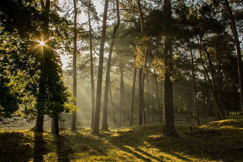Lever de soleil féerique par Loes Fotografie