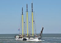 Het bruine vloot schip Grote Beer