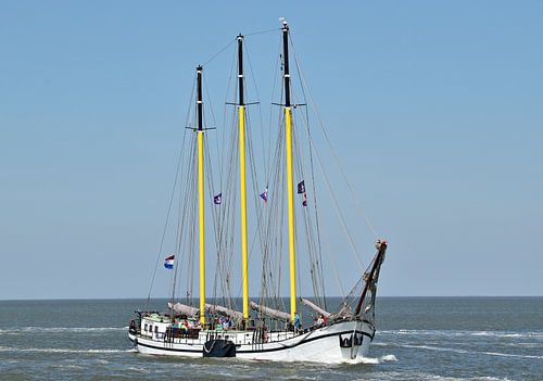 Het bruine vloot schip Grote Beer