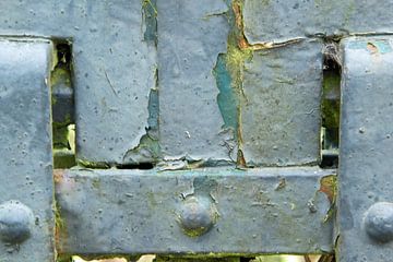 Moderne kunst van historisch hekwerk van BriGit Stokman