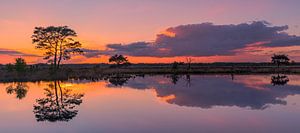 Panorama eines Sonnenuntergangs im Nationalpark Dwingelderveld