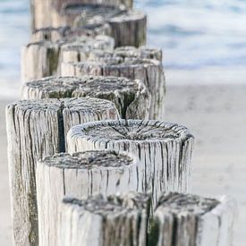 Strandpalen op het strand in Zeeland, Noordzee van Caroline Drijber