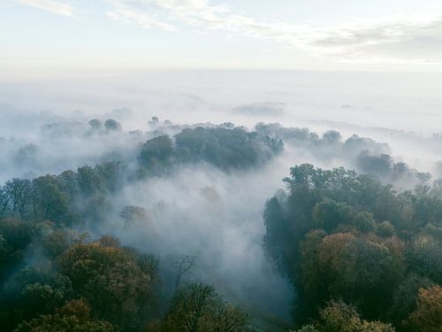 Mistig bos vanuit de lucht tijdens de herfst