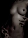 Künstlerischer Akt der Brüste einer Frau von Art By Dominic Miniaturansicht