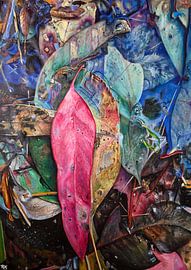 Fushia blue leaves