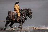 Shrimp fisherman on horseback in Oostduinkerke
