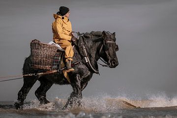 Garnaalvisser te paard in Oostduinkerke van Rik Verslype