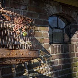 Verlaten boerderij 6 van Henri Boer Fotografie