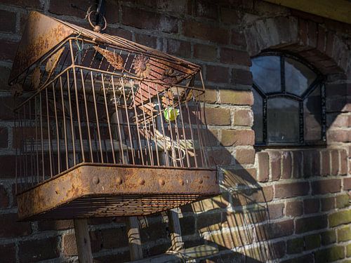 Verlaten boerderij 6