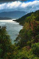 Wild coastline