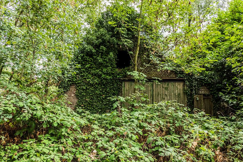 Oude schuur in het groen van Ans Bastiaanssen