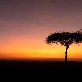 Sunrise in Africa. by Gunter Nuyts