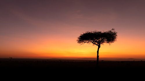 Zonsopkomst in Afrika.
