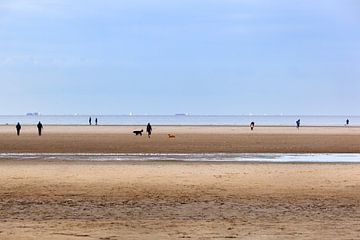 Strand mit Menschen und Hunden bei Ouddorp von Peter de Kievith Fotografie