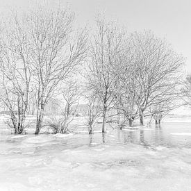 winter wonder land dordtse Biesbosch van Chris van Es