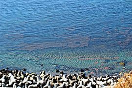 Nordsee von Ines Thun