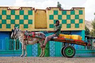 paard met wagen von rene schuiling Miniaturansicht