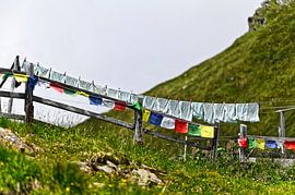 tibetische Gebetsfahnen von Martin Baartmans