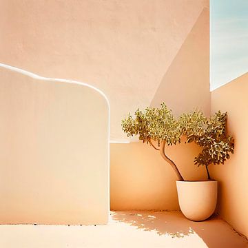 Terrasse in der Sonne mit Pflanze von Maarten Knops
