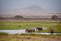 Kenya