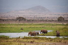 Kenia von José van Hell