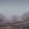 Uitzicht loonse en Drunense Duinen van Roy IJpelaar