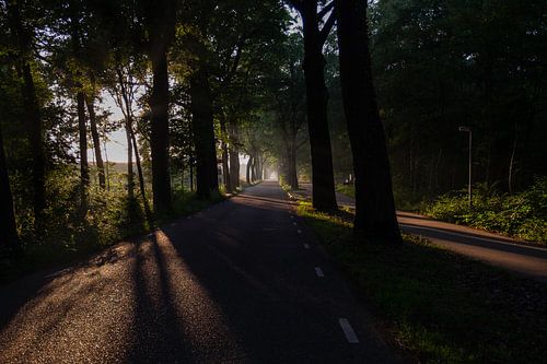 straight road with bike path in the early morning