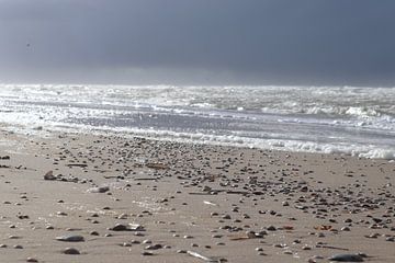 Stilte voor de storm van Noor van Duijvenboden