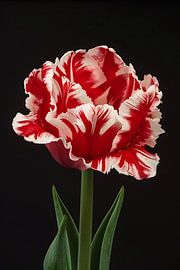 Beautiful realistic painting of a tulip by Art & Soul Creations