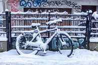 Besneeuwde geparkeerde fiets bij een tuinhek, Bremen, Duitsland, Europa van Torsten Krüger thumbnail