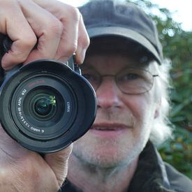 Dieter König Profilfoto