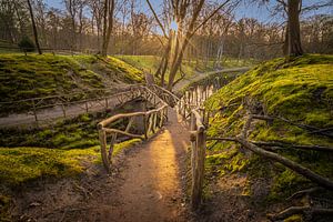 Landgoed Elswout - Zonsopkomst van Frank Smit Fotografie