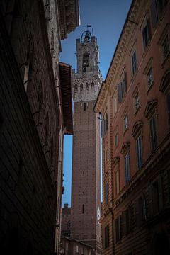 Siena by basnieuwenh