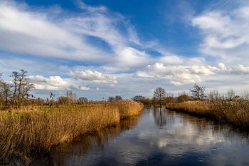 Rivière Dommel à Sint-Oedenrode