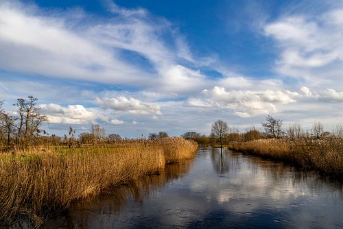 River Dommel in Sint-Oedenrode