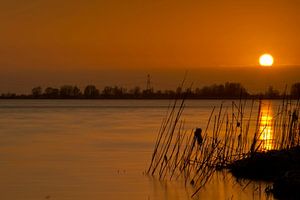 Sonnenuntergang auf dem Boulevard in Bergen op Zoom