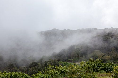 Mist trekt over de bergen
