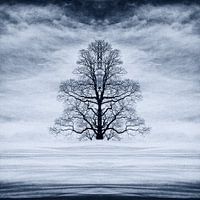 Baum im Schnee in den Schweizer Alpen