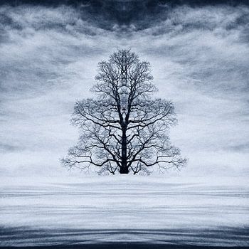 Tree in the snow in Swiss Alps