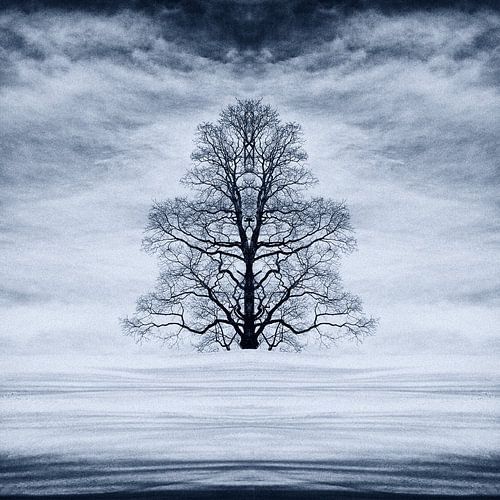 Baum im Schnee in den Schweizer Alpen