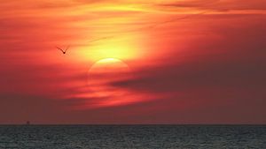 Sonnenuntergang über der Nordsee von Gerda Hoogerwerf