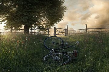 Een ligfiets op een mooie bloemenweide van Besa Art