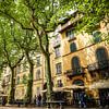 Piazza Napoleone in Lucca von norsface
