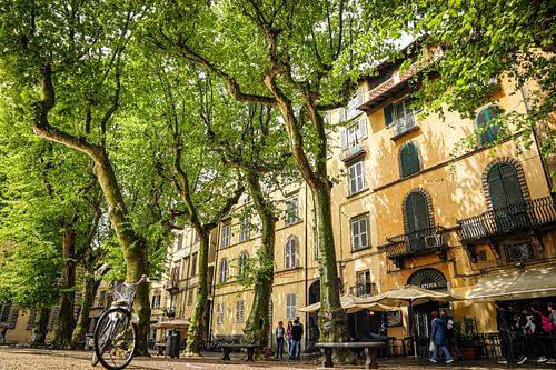 Piazza Napoleone in Lucca von norsface