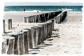 Pole head by Hans Lebbe